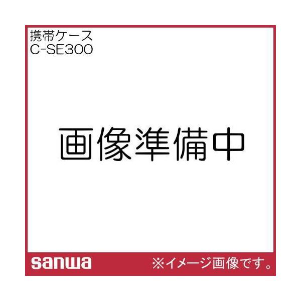 gуP[X C-SE300 OadCv SANWA CSE300