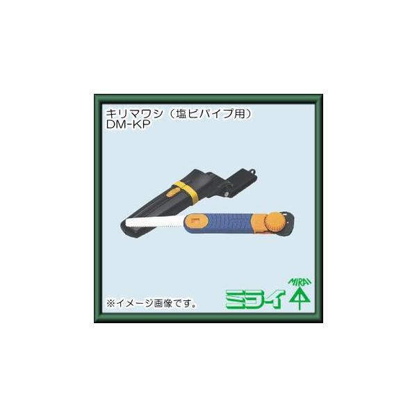 L}V(rpCvpEP[Xt) DM-KP H