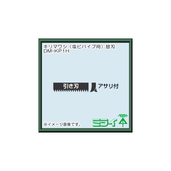 L}Vp֐n(rpCvpEn) DM-KP1H H