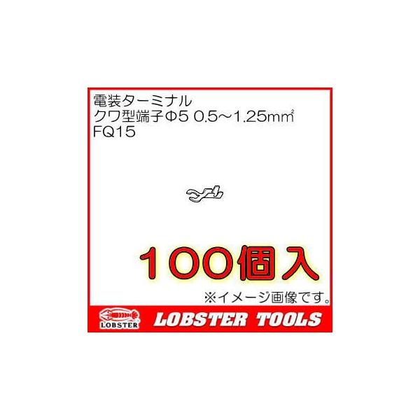 ���u�e�b�N�X �N���^�[�q��5(0.5�`1.25) 100�� FQ15 �G�r��