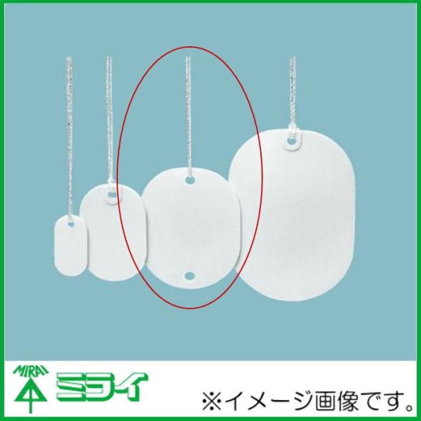 �����H�� �J���[�G�t �����` 30x40mm �� 20�� KF-3040HLW MIRAI