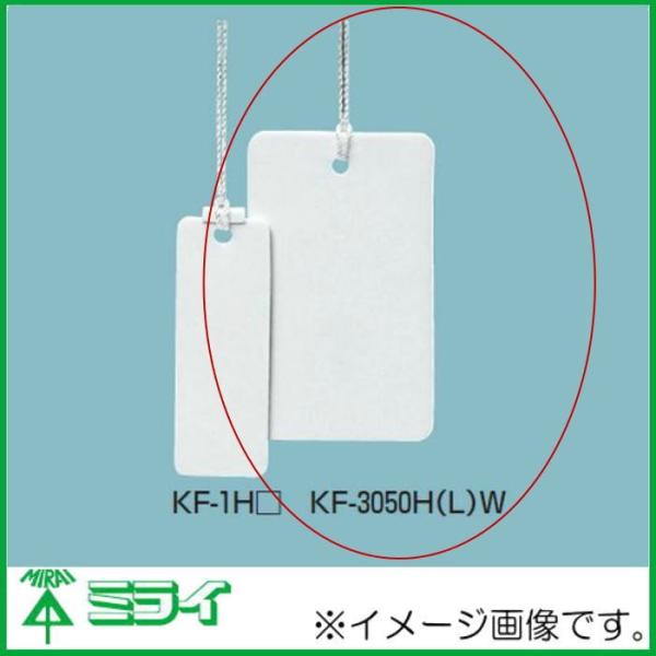 �����H�� �J���[�G�t �p�` 30x50mm �� 10�� KF-3050HW MIRAI