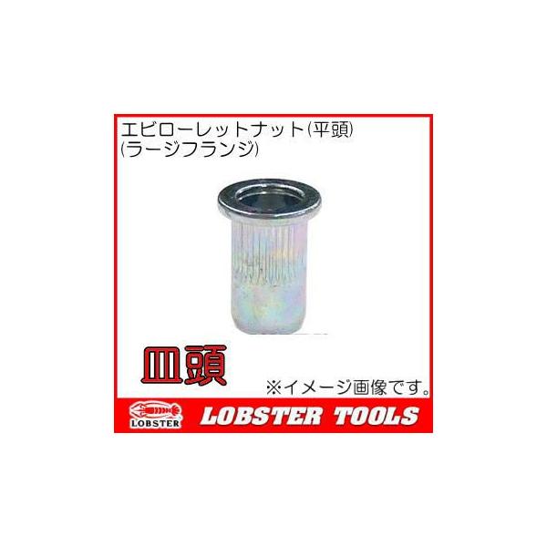 ���u�e�b�N�X �G�r���[���b�g�i�b�g(���[�W�t�����W) 1000�{ NSD4MR �G�r��