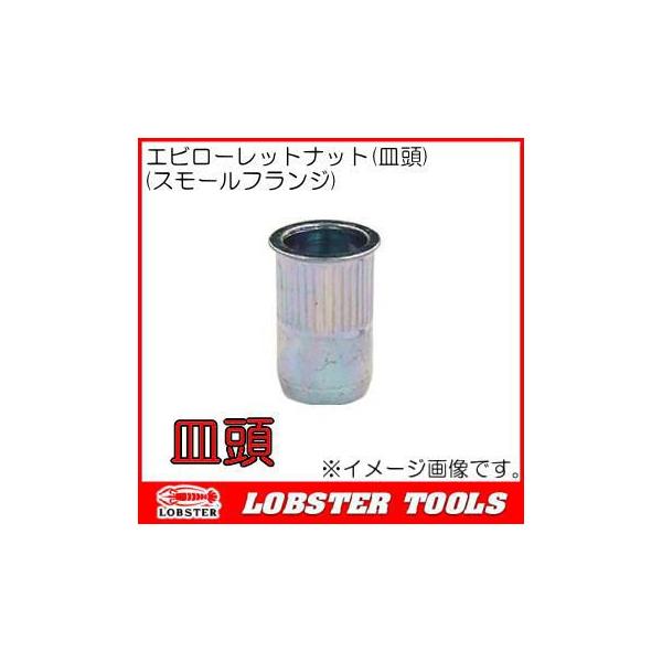 ���u�e�b�N�X �G�r���[���b�g�i�b�g(�X���[���t�����W) 1000�{ NSK5MR �G�r��