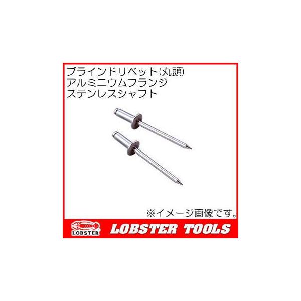 uChxbg(ۓ) NTA510 A~jEtW XeXVtg uebNX Gr