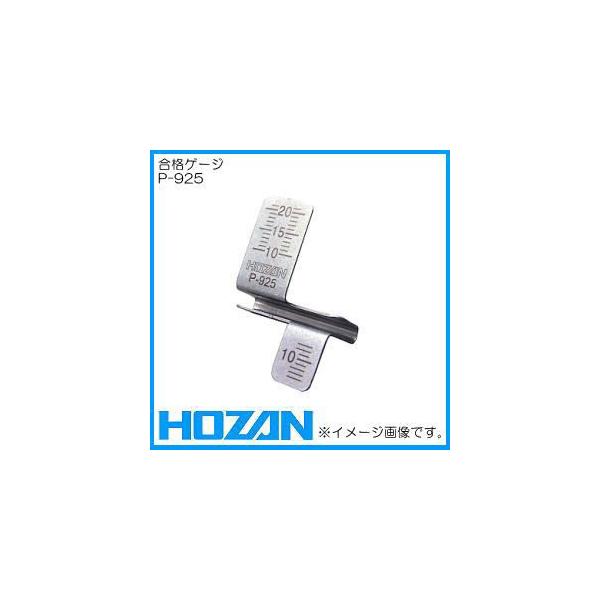 dCHmZ\ iQ[W P-925 z[U HOZAN P925