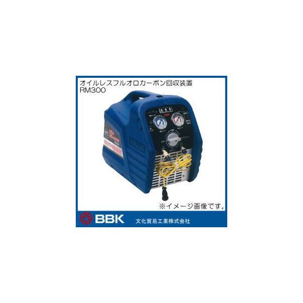 RM300 ICXtIJ[{u t@ BBK f