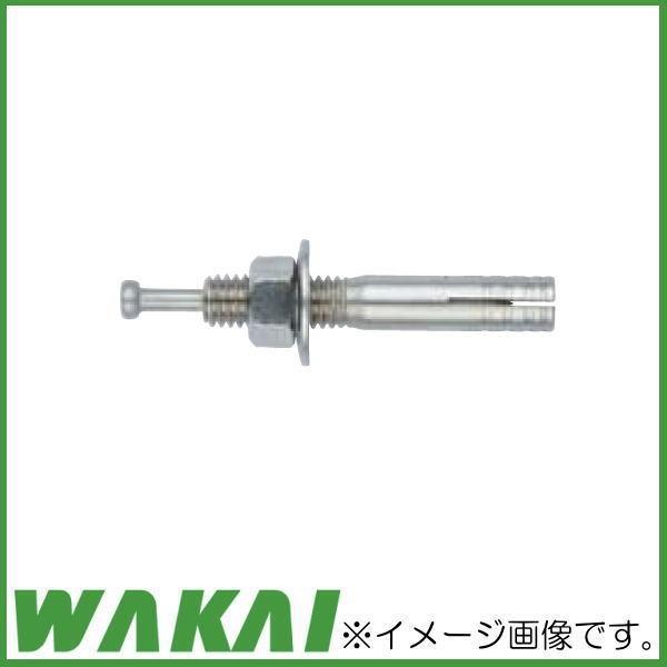 若井産業（WAKAI） ステンレス ニューストレートアンカー SC6600N 75本