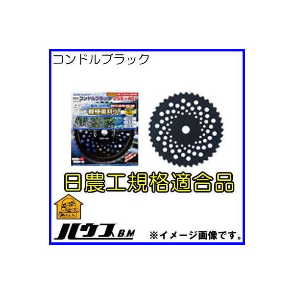 @p`bv\[ 255mmX40P SCB-255B RhubN nEXr[G