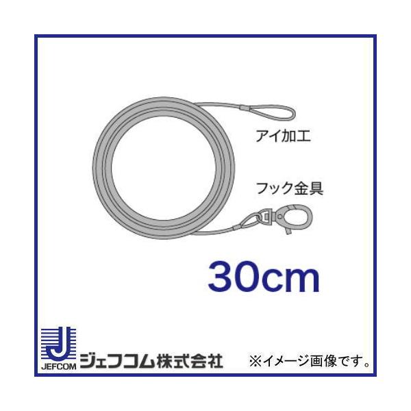 ��t�p���C���[ 30cm STM-WR030F �f���T�� DENSAN