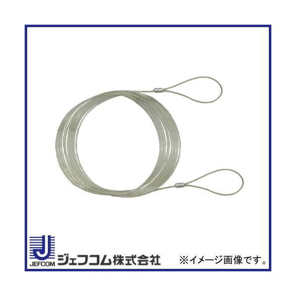 tpC[ 10m STM-WR1000 fT DENSAN C~l[Vp