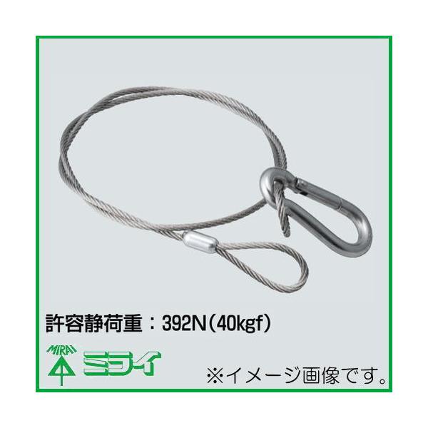 ʊ|C[(tbNt) TY2-05F H MIRAI