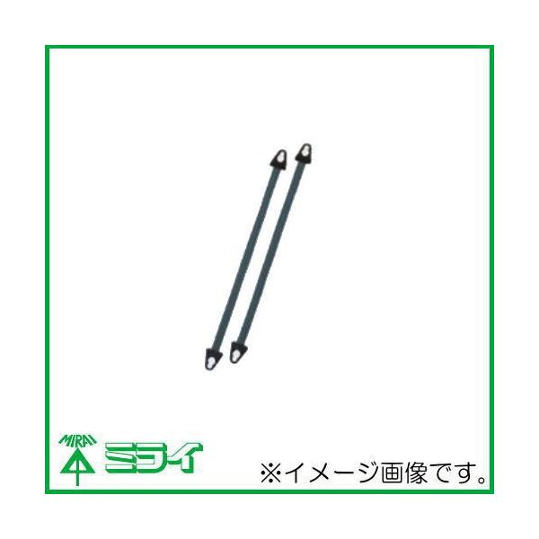 US���b�g(�n�C�O���[�h�^�C�v)�p������ �~�~�q��(2�{1�g) USP-2S-MH �����H�� MIRAI