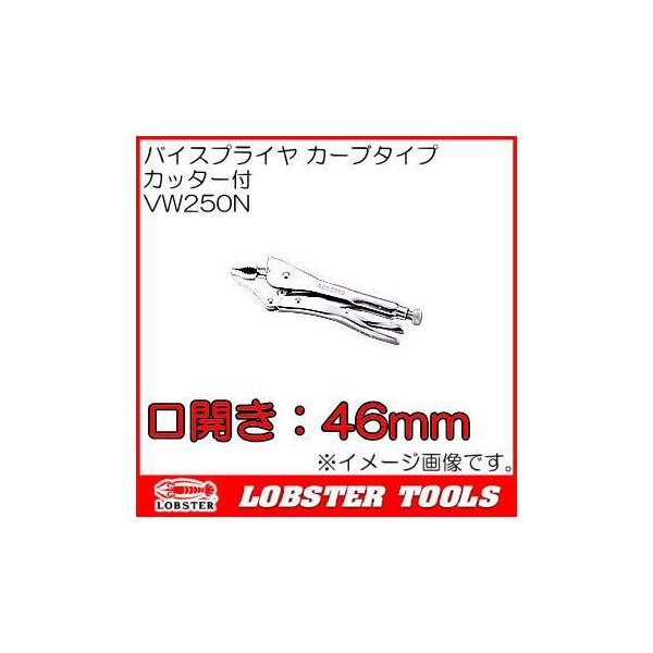 uebNX oCXvC J[u^Cv VW250N Gr