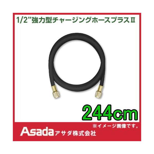 1/2͌^`[WOz[XvXII 244cm Y15896 AT_ ASADA