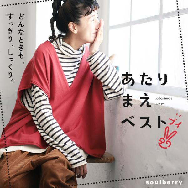 soulberry（ソウルベリー） 【ついに再入荷！】Vネックのあたりまえ