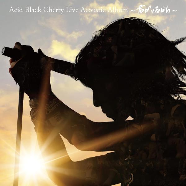 Acid black cherry アラベスク Acid Black Cherry yasu愛用 アラベスクブラックジルコニア