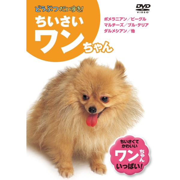 みんなだいすき！ちいさいワンちゃん (DVD) KID-1301 (キープ KEEP)