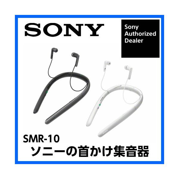 sony 集音器の人気商品・通販・価格比較 - 価格.com sony 集音器の人気商品・通販・価格比較 - 価格.com