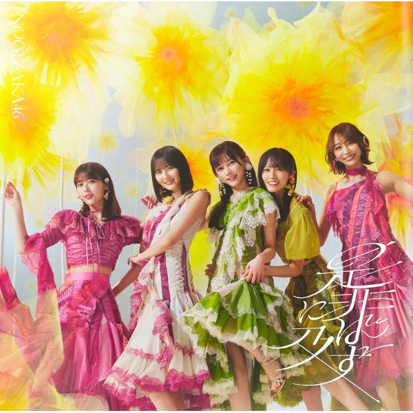 乃木坂46／是非に及ばず (初回仕様限定盤 Type-D) (CD+Blu-ray) SRCL-13796