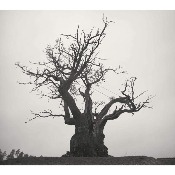 トイズファクトリー SEKAI NO OWARI 2010-2019 （通常盤）（2CD） TFCC