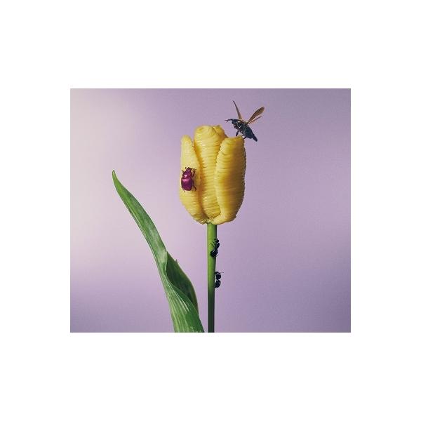 ワーナーミュージック 【特典配布終了】 あいみょん／おいしいパスタが