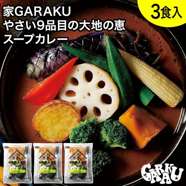家GARAKU やさい9品目の大地の恵スープカレーセット (3個入) ガラク 札幌 北海道 スープカレー チキンレッグ レトルト グルメ お取り寄せ 【冷凍クール便】