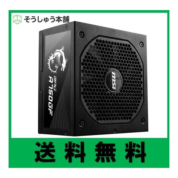 MSI MPG A750GF PC電源ユニット 750W 80PLUS Gold PS1026 電源