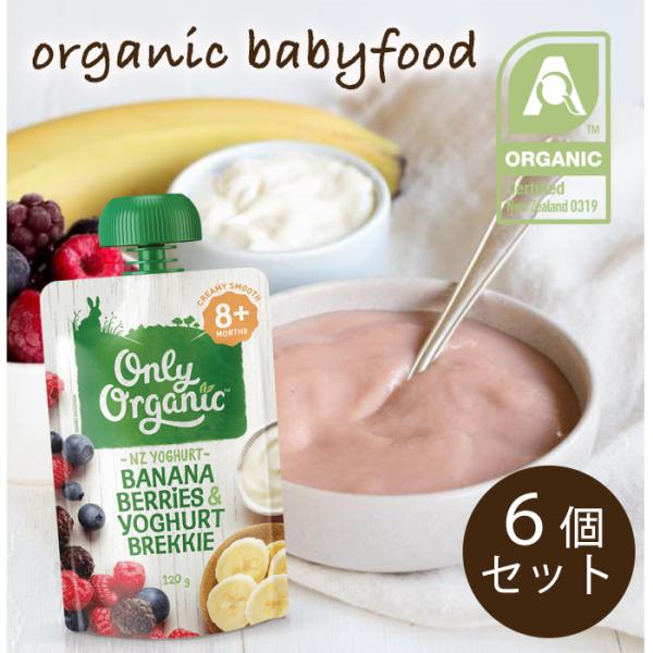 オンリー オーガニック ベビーフード アレルギー 対策 生後8か月頃 ずっとok用 バナナとベリーとヨーグルト1ｇ 6個セット 離乳食 Buyee Buyee 提供一站式最全面最专业现地yahoo Japan拍卖代bid代拍代购服务 Bot Online