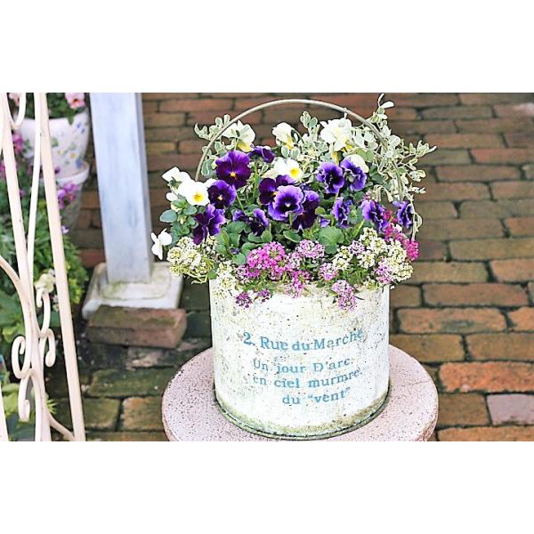 花寄せ植え おしゃれ フリルビオラ コロニラ バレンティナ アリッサム アンティークジャンク風ブリキバケツ 誕生日プレゼント Buyee Buyee 提供一站式最全面最專業現地yahoo Japan拍賣代bid代拍代購服務 Bot Online