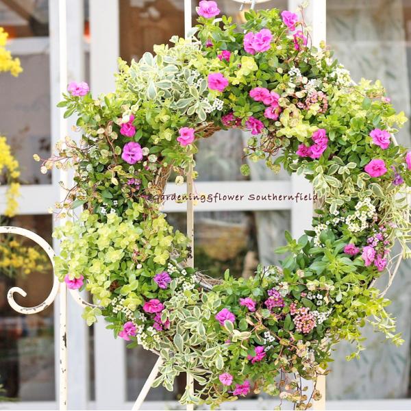 人気満点 花寄せ植え おまかせプランツギャザリング季節の花のリース仕立て35cm 開店御祝 誕生日プレゼント 驚きの値段 Www Technet 21 Org