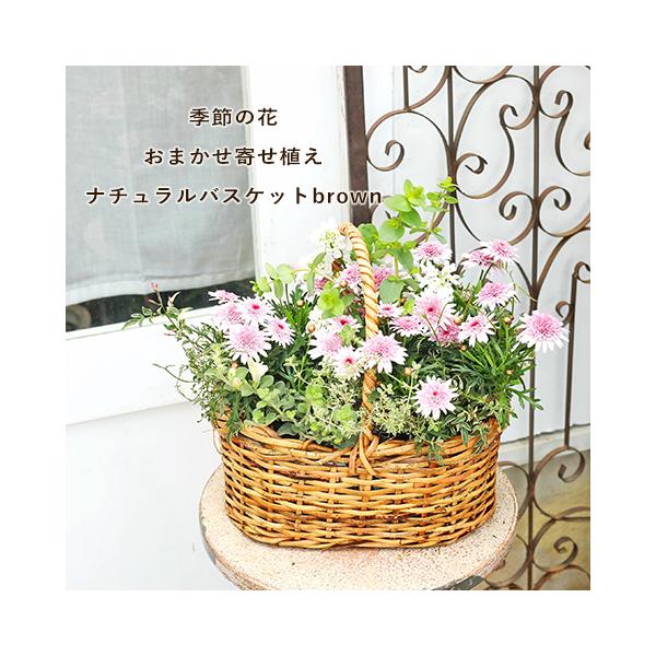 【希少】オールドニッポン 一陳盛り上げ 風景紋 バスケット 花籠 花瓶 希少】オールドニッポン 一陳盛り上げ 風景紋 バスケット 花籠 花瓶