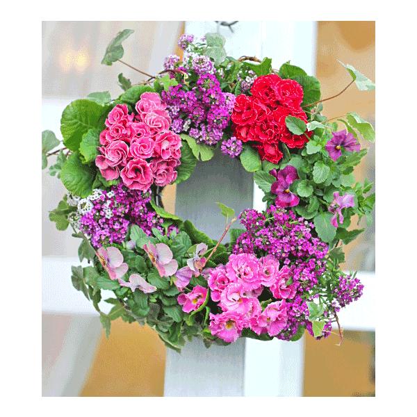 花寄せ植え おしゃれ ポリアンサ クラウディア アリッサムパープル ナチュラルリース 誕生日プレゼント 開店祝い ギフト Buyee Buyee 日本の通販商品 オークションの代理入札 代理購入