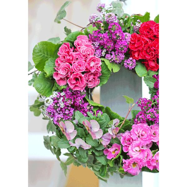 花寄せ植え おしゃれ ポリアンサ クラウディア アリッサムパープル ナチュラルリース 誕生日プレゼント 開店祝い ギフト Buyee Buyee 日本の通販商品 オークションの代理入札 代理購入