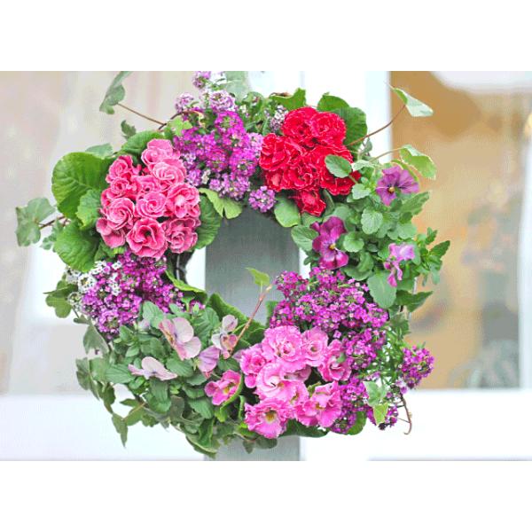 花寄せ植え おしゃれ ポリアンサ クラウディア アリッサムパープル ナチュラルリース 誕生日プレゼント 開店祝い ギフト Buyee Buyee 日本の通販商品 オークションの代理入札 代理購入