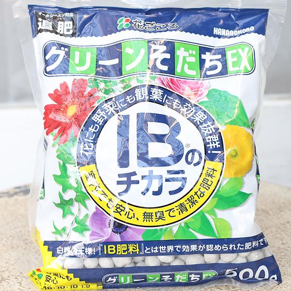 肥料 花ごころ IBのチカラ グリーンそだちEX 500g 追肥 ひりょう 粒状  緩効性肥料 よく効く 園芸