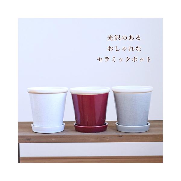 ガーデニング雑貨 陶器鉢 グロッシーポット Lサイズ おしゃれ