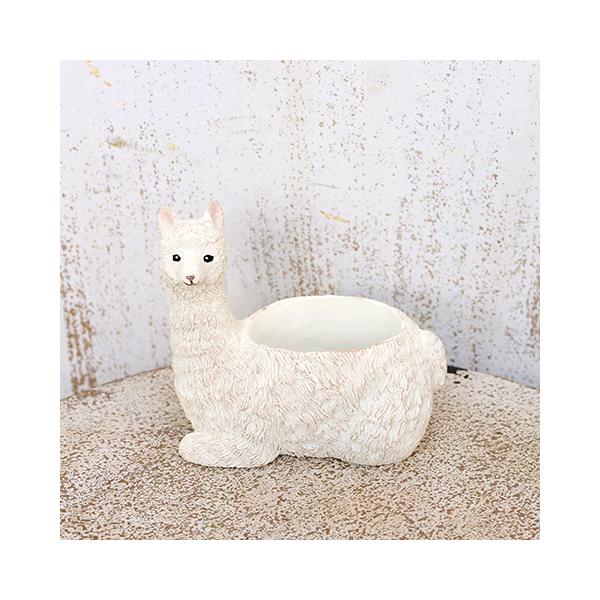 ガーデニング雑貨  ミニプランター サスワール アルパカポット M 鉢 多肉植物 かわいい ミニ おしゃれ ガーデン