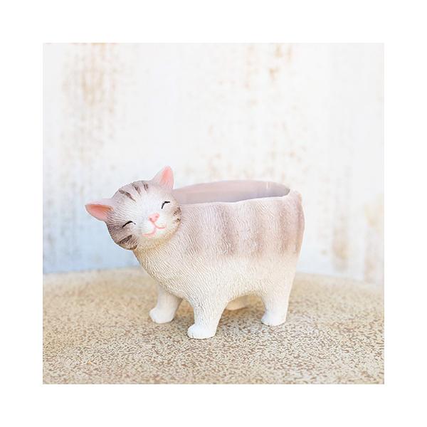 ガーデニング雑貨  ミニプランター リールシネット ポット 鉢 多肉植物 かわいい ミニ おしゃれ ガーデン