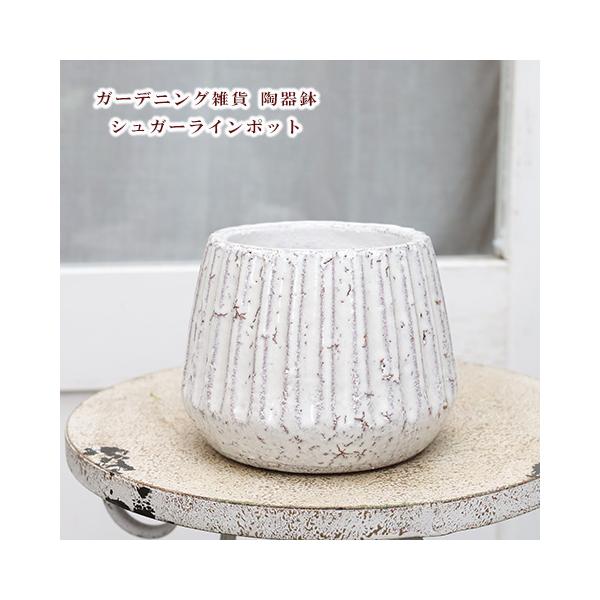 ガーデニング雑貨 陶器鉢 アンティーク調 シュガーラインポット S 植木鉢 プランター セラミック