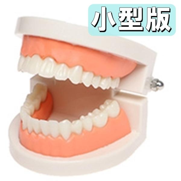 southernwind_hoshi-j18