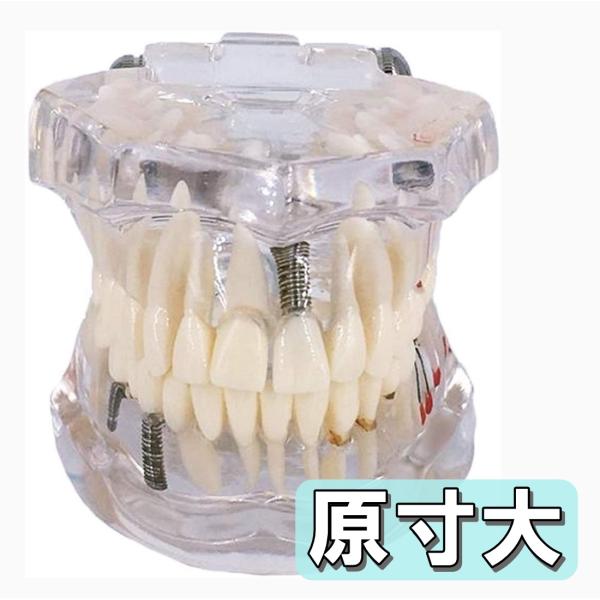 southernwind_hoshi-j19