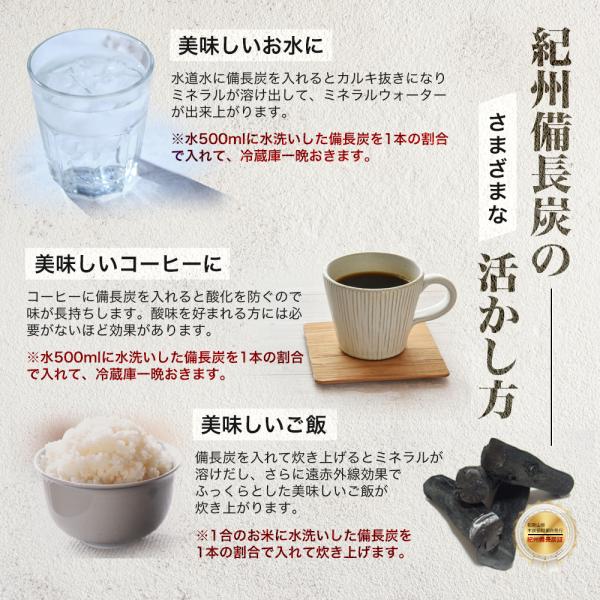 炭 備長炭 水 消臭 除湿 浄水 浄化 国産 4本セット 炊飯 日本製 160g