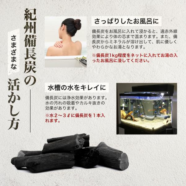炭 備長炭 水 消臭 除湿 浄水 浄化 国産 4本セット 炊飯 日本製