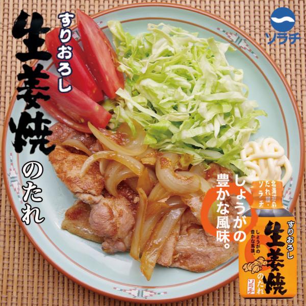 ソラチ すりおろし生姜焼きのたれ 200g×2個 北海道 お土産 豚 肉 ロース バラ みじん切り ご飯のお供 ギフト プレゼント お取り寄せ 送料無料