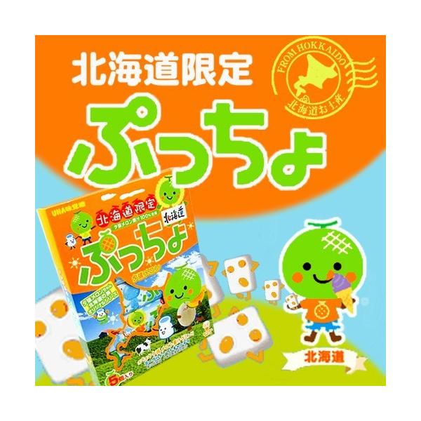 UHA味覚糖 ぷっちょ 夕張メロン 5本入×1箱 北海道 お土産 おやつ お