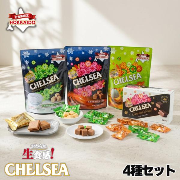 生食感チェルシー 4種セット バタースカッチ味 ヨーグルトスカッチ味 メロンスカッチ味 キャラメルサンド 道南食品 北海道 お土産 ギフト プレゼント お取り寄せ