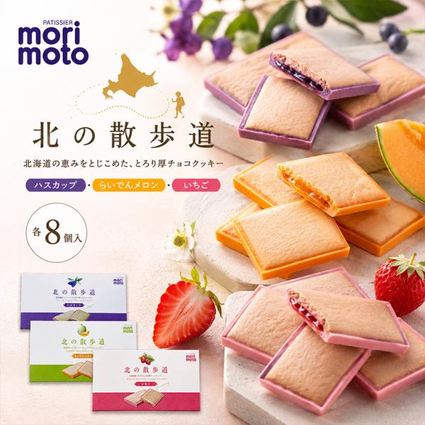 北海道　もりもと　オススメ✨お菓子セット もりもと 北の散歩道 食べ比べ 3箱セット らいでんメロン ハスカップ