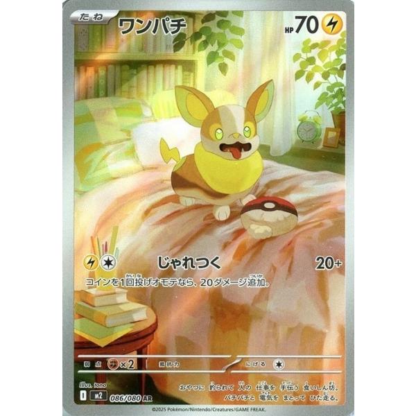 Pokemon ワンパチ〔AR〕【雷/たね】 〈インフェルノX M2