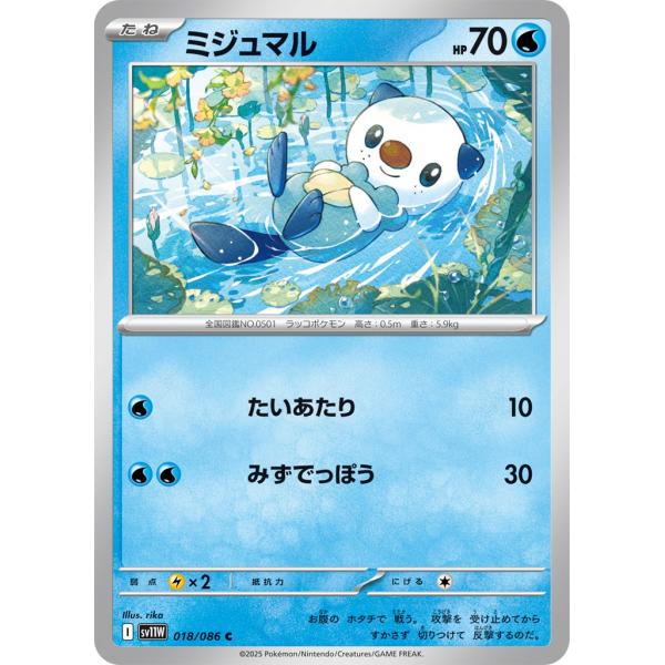 Pokemon（ポケモン） ミジュマル〔C〕【水/たね】 〈ホワイトフレア